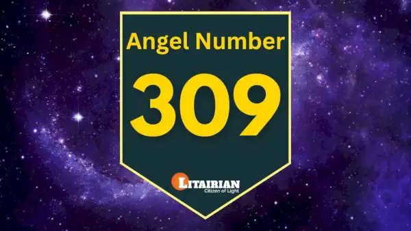 Significado y significado del número de ángel 309