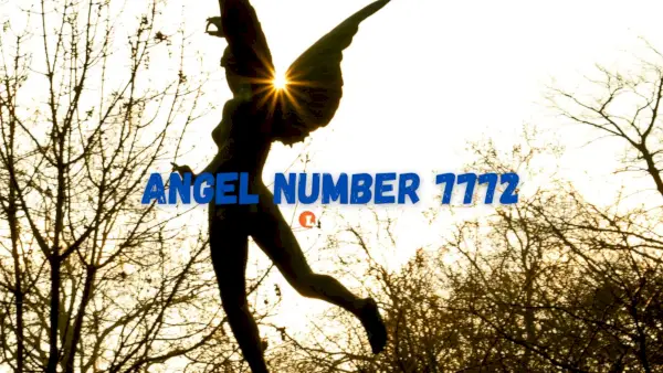 Àngel Número 7772 Significat i significat