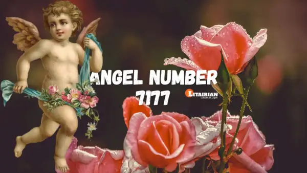 Significado y significado del número de ángel 7177