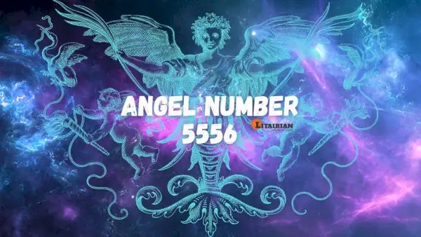 Significado e importância do anjo número 5556