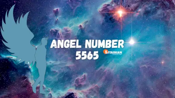 Significado y significado del número de ángel 5565