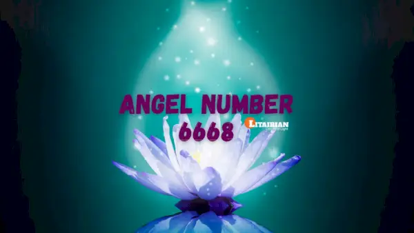 Significado y significado del número de ángel 6668