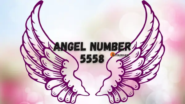 Anjo Número 5558 Significado e Significado