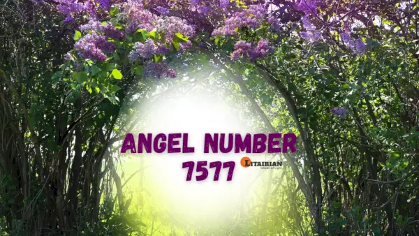 Anjo Número 7577 Significado e Significado