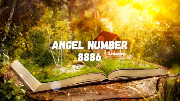 Significado y significado del número de ángel 8886