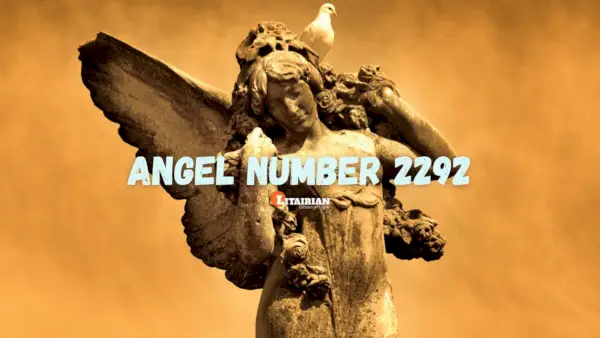 Significado e importância do anjo número 2292