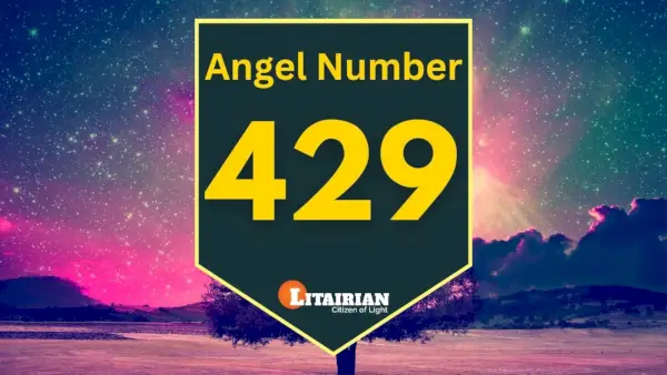 Significado y significado del número de ángel 429