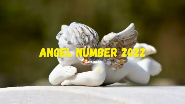 Angelo numero 2022 Significato e significato