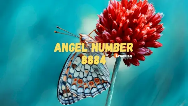 Significado e importância do anjo número 8884