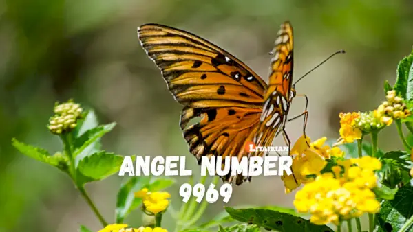 Significado e importância do anjo número 9969