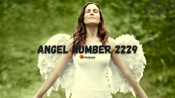 Significado e importância do anjo número 2229