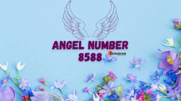 Angelo numerio 8588 prasmė ir reikšmė