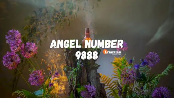 Anjo Número 9888 Significado e Significado