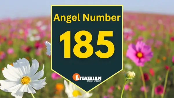 Àngel número 185 Significat i significat