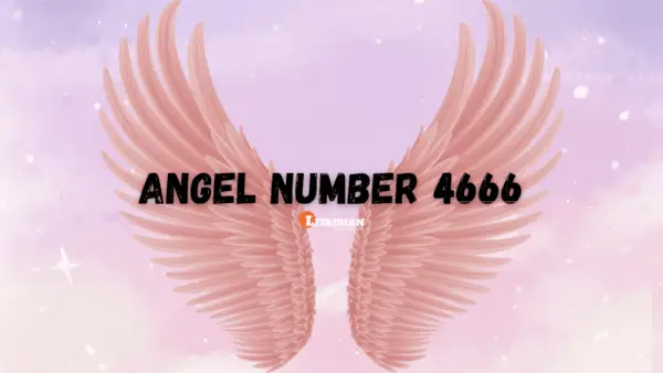 Significado e importância do anjo número 4666