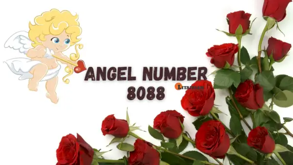 Significado e importância do anjo número 8088