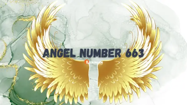 Significado e importância do anjo número 663