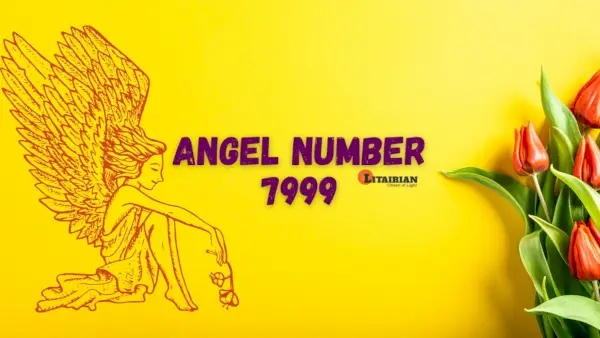 Significado e importância do anjo número 7999