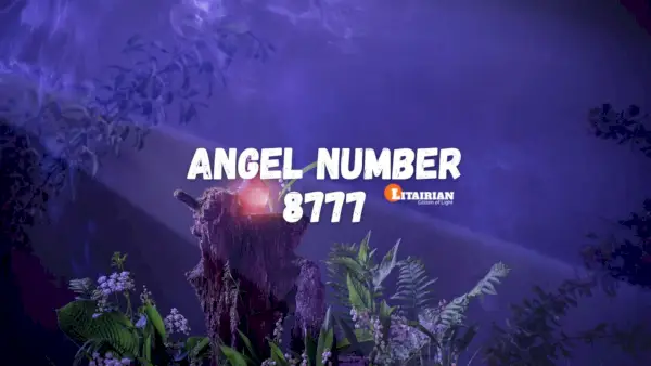 Significado e importância do anjo número 8777