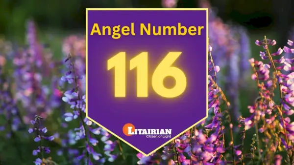 Angelo numerio 116 reikšmė ir reikšmė