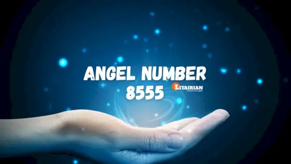 Significado e importância do anjo número 8555