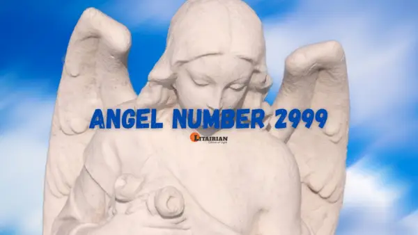 Significado y significado del número de ángel 2999