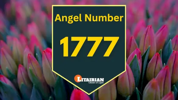 Significado y significado del número de ángel 1777