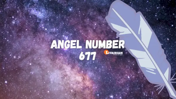 Significado e importância do anjo número 677