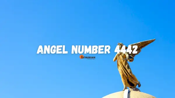 Significado e importância do anjo número 4442