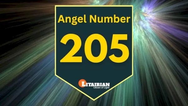 Significado y significado del número de ángel 205