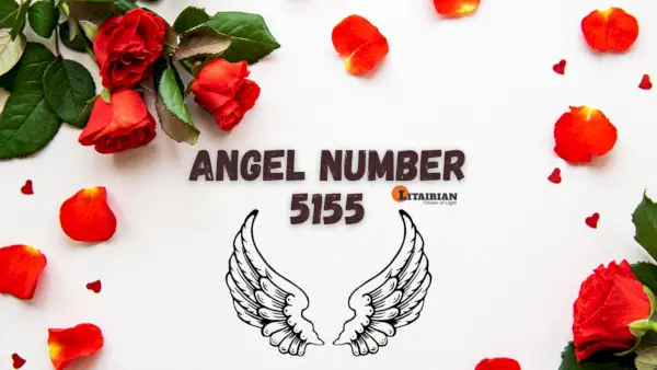 Significado y significado del número de ángel 5155