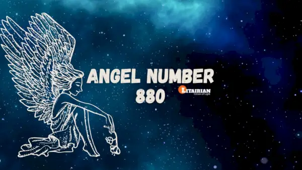 Angelo numerio 880 prasmė ir reikšmė