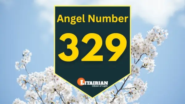 Significado e importância do anjo número 329