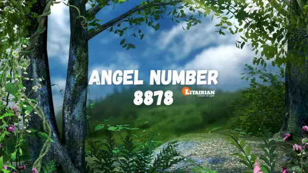 Anjo Número 8878 Significado e Significado