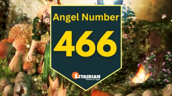 Angelo numerio 466 prasmė ir reikšmė