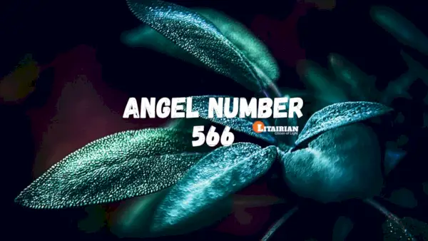 Significado y significado del número de ángel 566