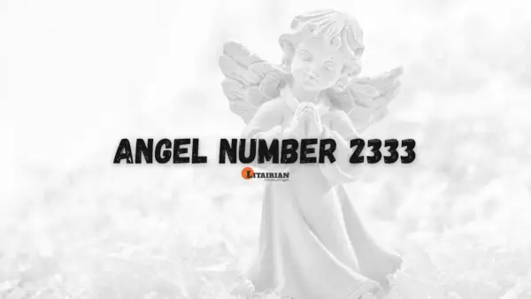 Significado e importância do anjo número 2333