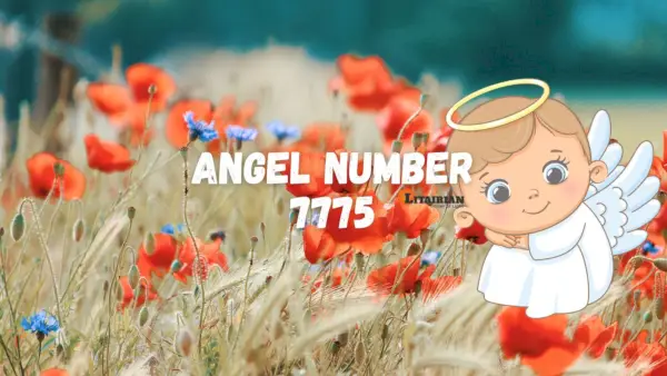 Significado y significado del número de ángel 7775