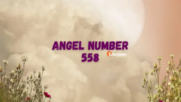 Significado e importância do anjo número 558