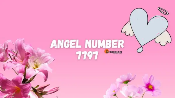 Significado y significado del número de ángel 7797