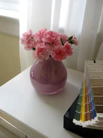 Budgetbloemen: mooi in roze