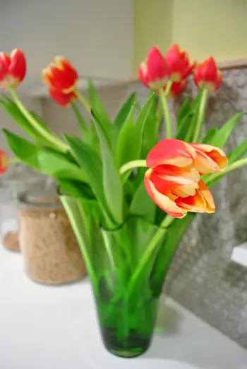 Tulpen ganze Vase