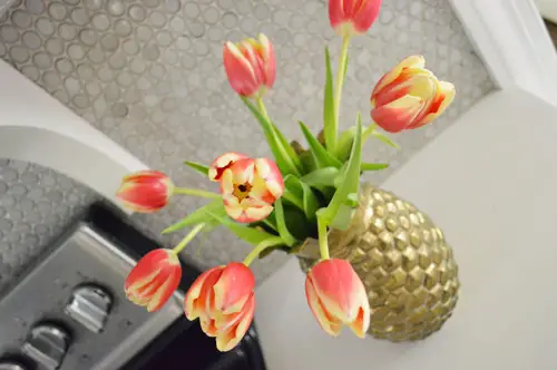 Tulpen Goud Gekke Hoek