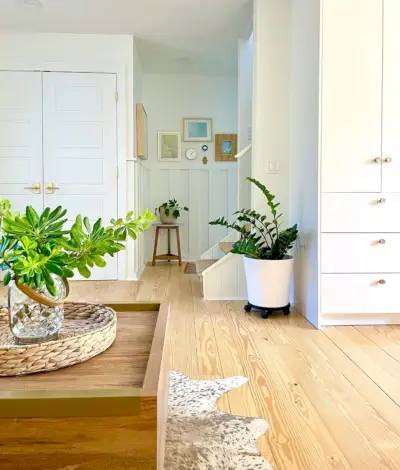 Vue vers les escaliers et le couloir arrière de la maison avec beaucoup de plantes et de cadres