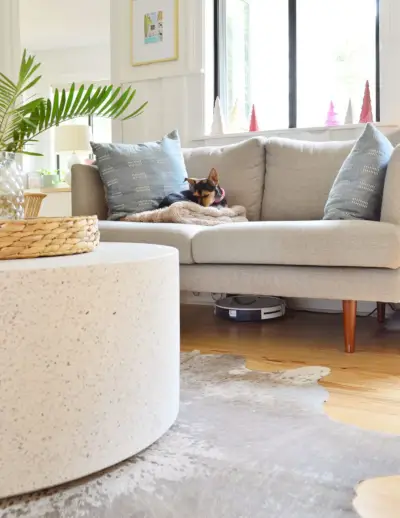 Eufy RoboVac 11S lader under sofaen i stuen med hund