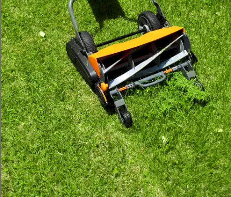 Fiskars Cut Grass Stripe