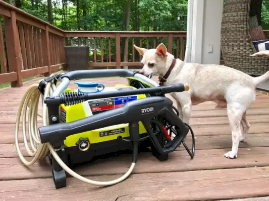 Hogedrukreiniger Compact Met Hond Voor Schaal