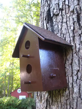 Mangeoire à oiseaux après photo