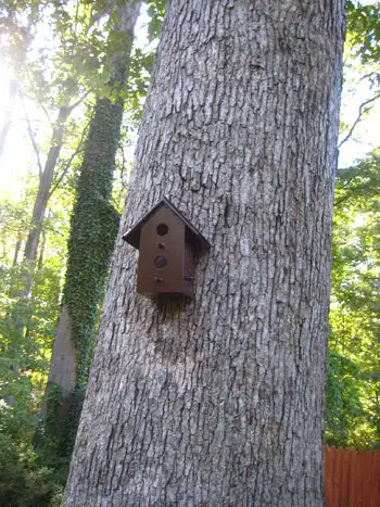 Vogelhuisje na foto's makeo