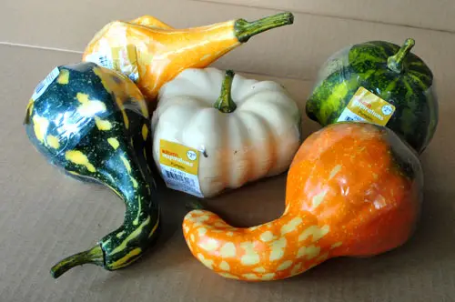 Utiliser des courges pour créer un décor d'automne